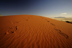 sossusvlei namibia