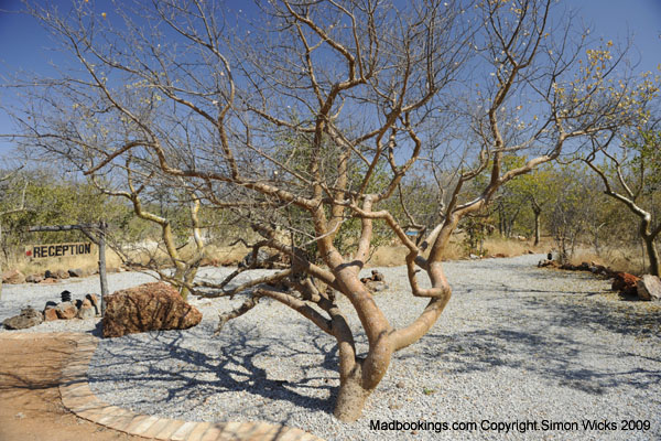 Etosha Self-Catering Village Accommodation