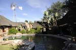 kalahari_bush_breaks_01