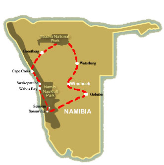 Desert, Dune and Rhino Tracking