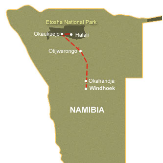 Etosha Express