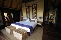 etosha lodge