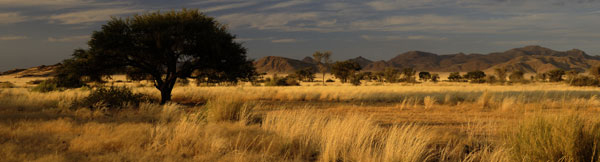 Savannah mountains and desert meet at the Naukluft Mountain area of Namibia