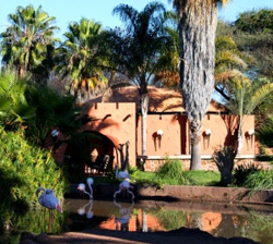Mount Etjo Lodge Accommodation