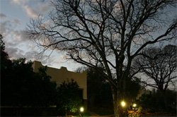 Buschfeld Lodge Accommodation