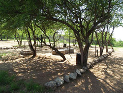 Sasa Safari Camp Accommodation