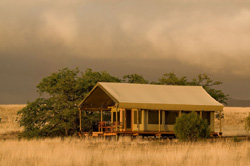 Desert Rhino Camp Accommodation