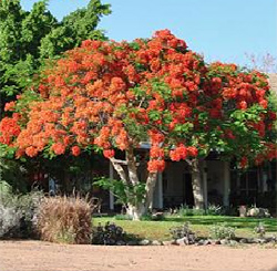 Nubib Mountain Guest Farm Accommodation