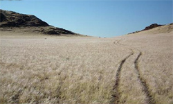 Nubib Mountain Guest Farm