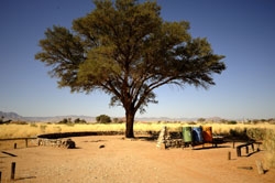 Sesreim Accommodation