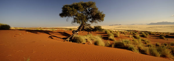 Dramatic colours and shapes everywhere you look in the Namib Desert