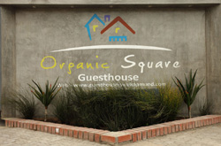 Organic Square Guesthouse