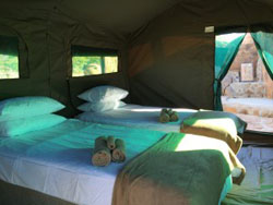 Madisa Safari Tent