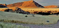 Sossusvlei Shuttle Service