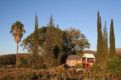 Vineyard Bed and Breakfast Windhoek