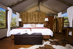 Windhoek Game Camp Accommodation